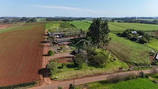 Paisagem rural com campos cultivados e vegetação ao redor.