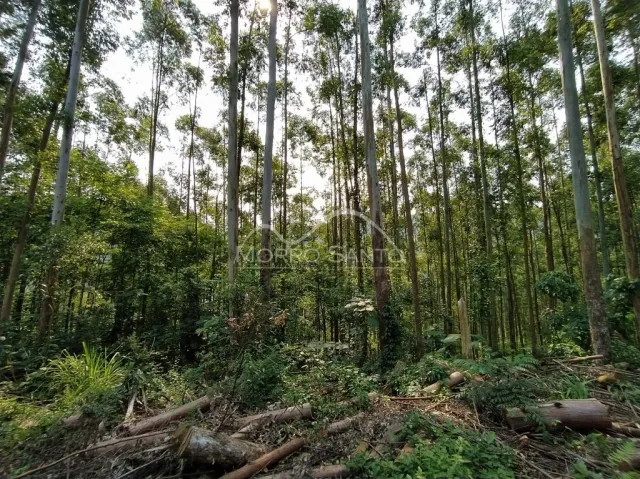 Área rural, foto 3