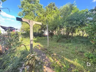 Uma cruz de pedra está no meio de um campo gramado com vegetação densa.