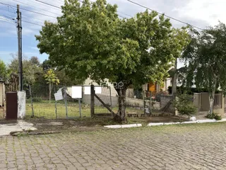 Terreno, foto 1