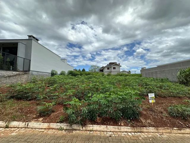 Foto externa mostrando vegetação densa em uma área de propriedade.