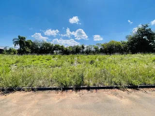 Paisagem de campo com vegetação densa ao fundo sob um céu azul.