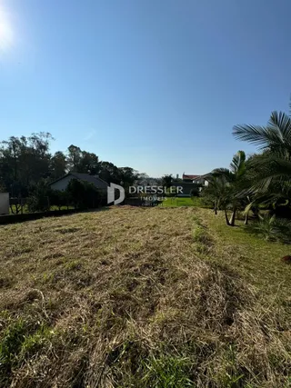 Vista externa de um terreno com grama seca sob um céu azul.