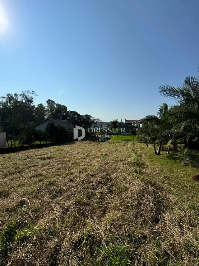 Vista externa de um terreno com grama seca sob um céu azul.