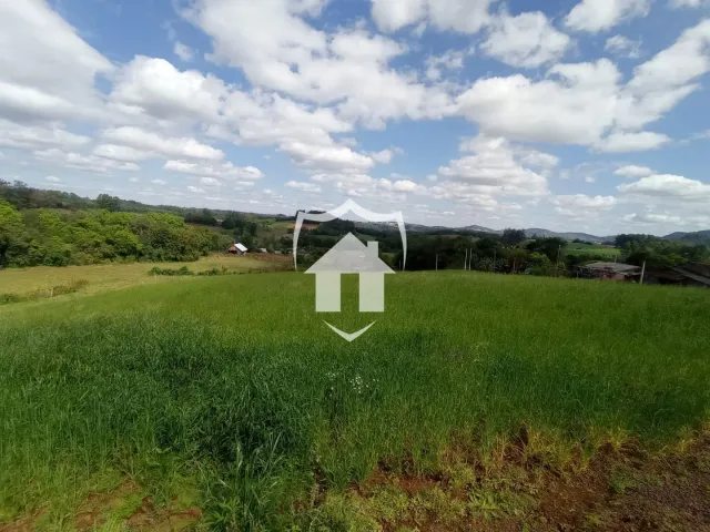 Terreno, foto 2
