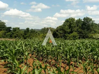Área rural, foto 7