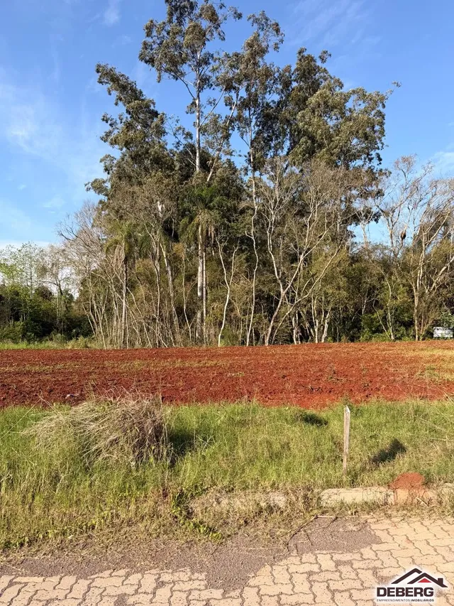 Terreno