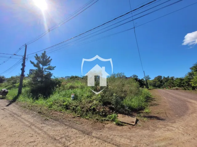 Terreno, foto 3
