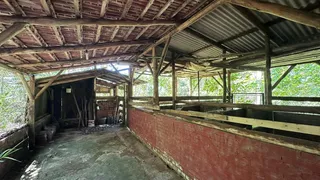 Área rural com 3 dormitórios, foto 47