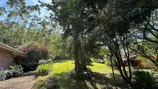 Área rural com 3 dormitórios, foto 8