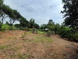 Área rural com 4 dormitórios, foto 9