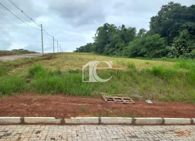 Terreno, foto 3