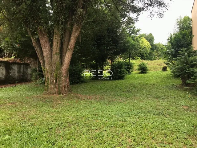 Terreno, foto 4