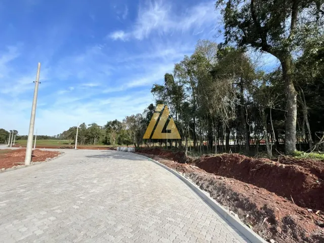 Terreno, foto 5