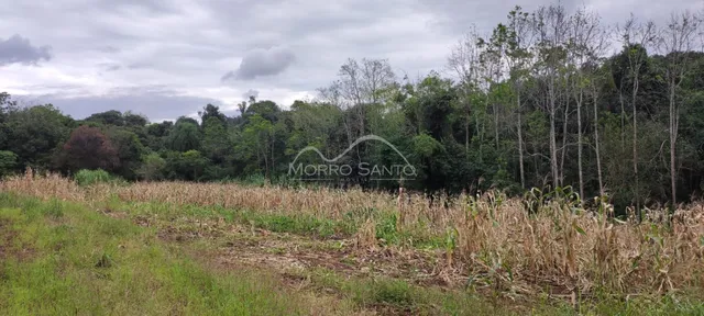 Área rural, foto 3