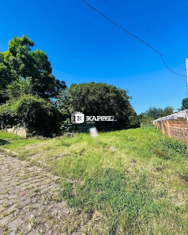 Vista externa da propriedade mostrando vegetação e um caminho de terra.