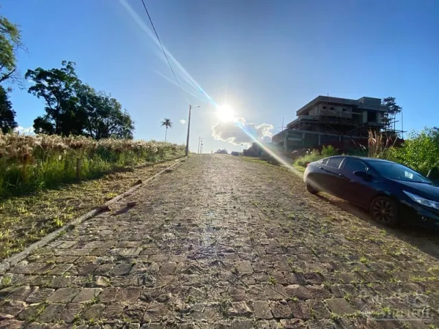 Terreno, foto 2