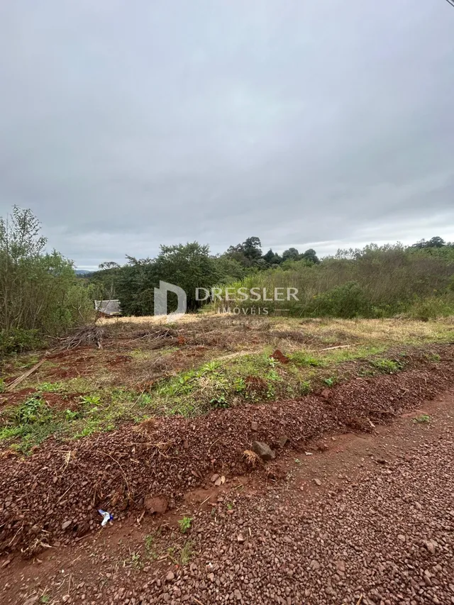 Terreno com vegetação e trilha de terra em Lajeado.