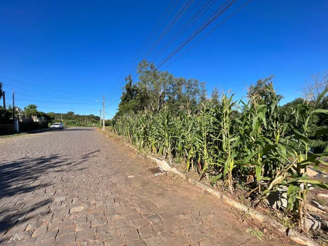 Terreno, foto 3
