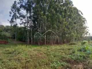 Área rural, foto 10