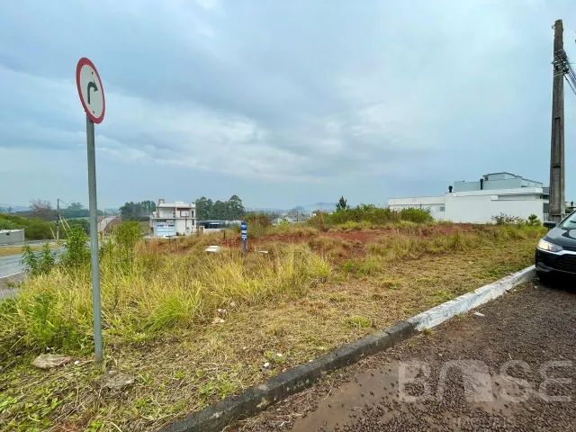 Terreno, foto 5