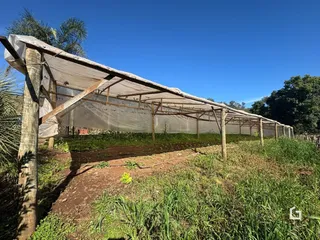 Área rural com 4 dormitórios, foto 13