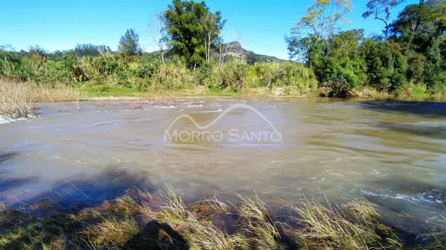 Uma paisagem de água com vegetação rasteira em uma área externa.