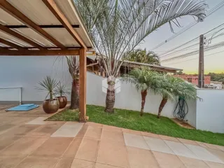 Área externa com palmeiras e muro branco.