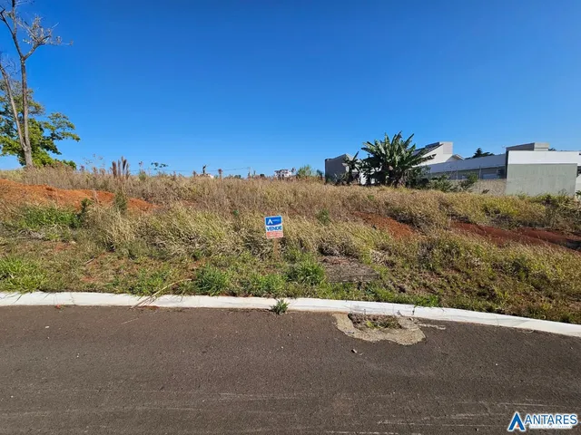 Terreno, foto 2