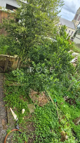 Casa com 4 dormitórios, foto 6
