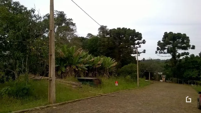 Terreno, foto 2