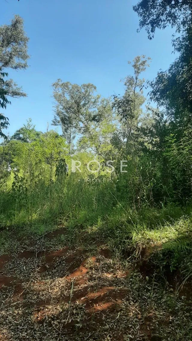 Área rural, foto 5