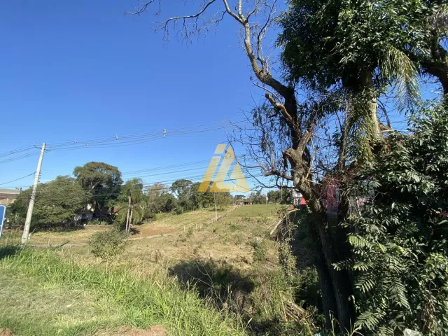 Terreno, foto 4