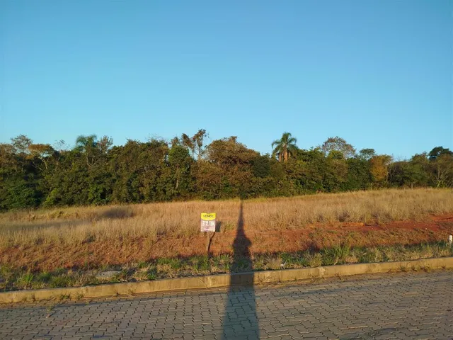 Terreno, foto 2