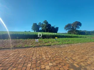 Vista externa de um campo com árvores e uma área pavimentada.