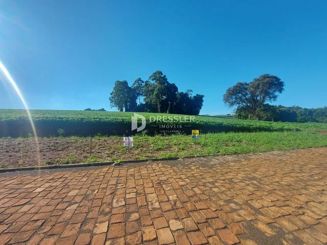 Vista externa de um campo com árvores e uma área pavimentada.