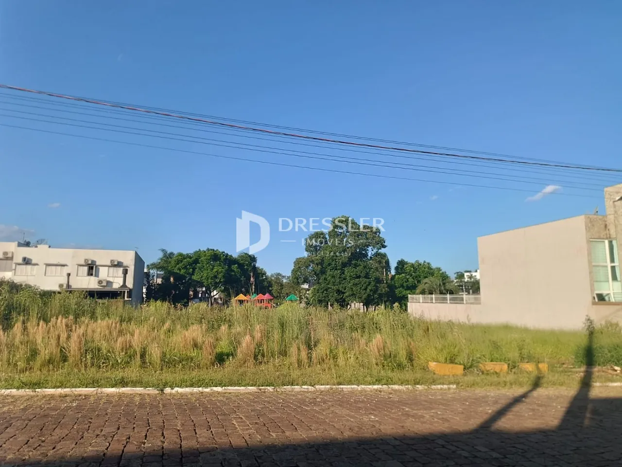 Vista externa de uma propriedade com vegetação alta e um muro de contenção.