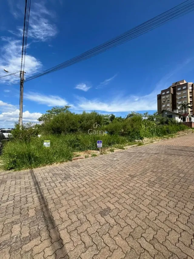 Terreno, foto 3