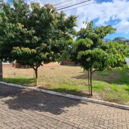 Terreno, foto 2