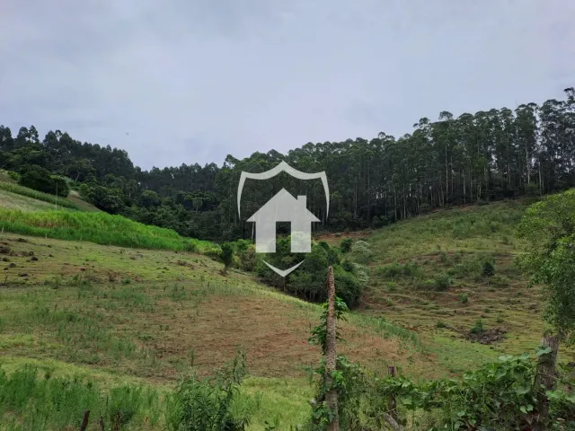 Área rural com 1 dormitório, foto 3
