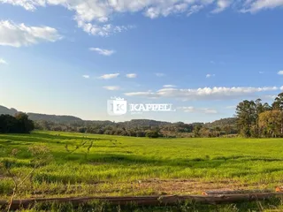 Uma paisagem de campo verde sob um céu azul claro.