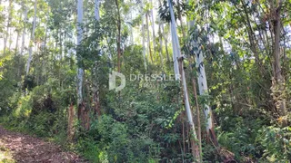 Área rural, foto 25