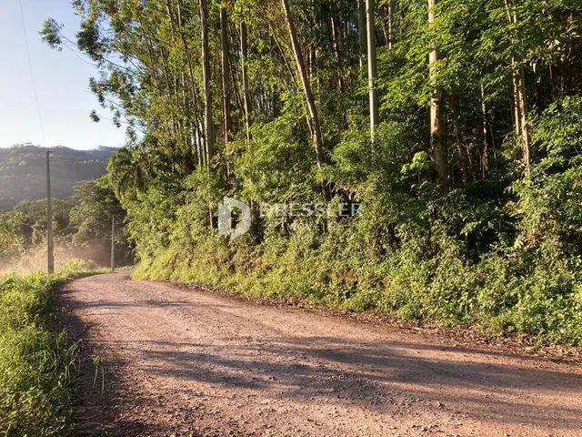 Área rural