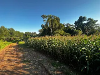 Área rural com 3 dormitórios, foto 44