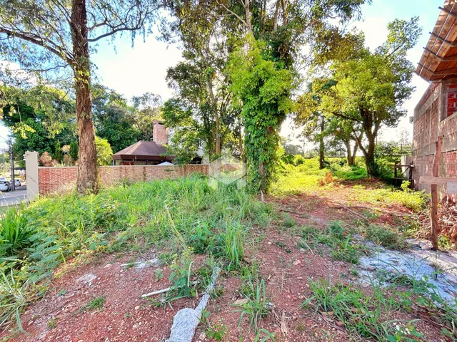 Vista externa de uma propriedade com muro de tijolos e vegetação densa