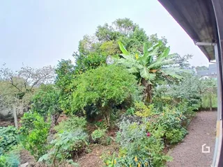 Casa com 3 dormitórios, foto 21