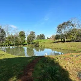 Vista de um lago cercado por vegetação em uma área verde.