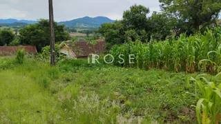 Terreno, foto 1