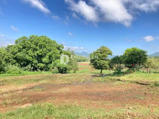 Área rural com 3 dormitórios, foto 17
