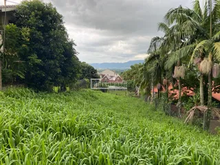 Terreno, foto 2